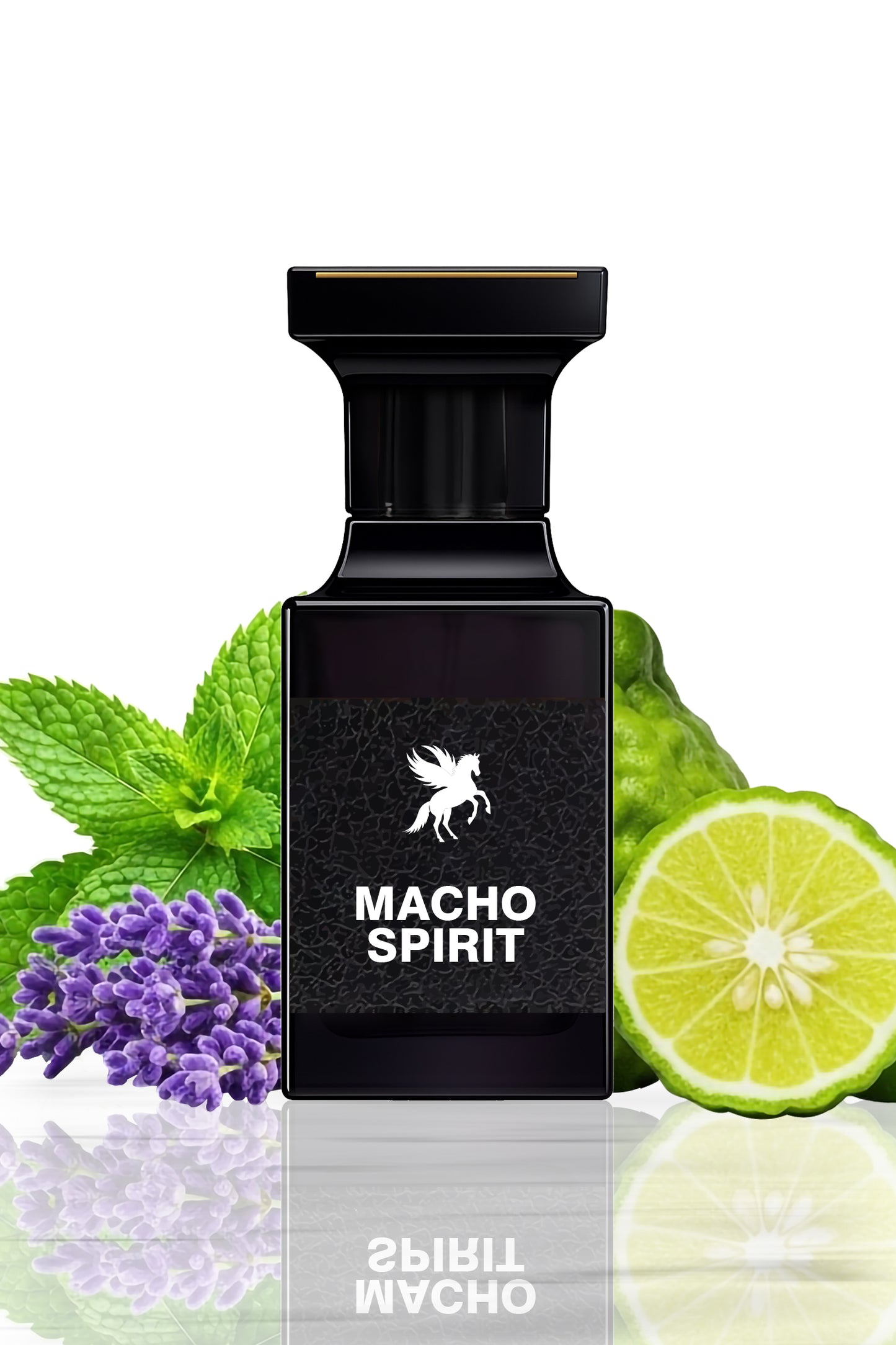 Macho Spirit - Impression of Le Male JPG
