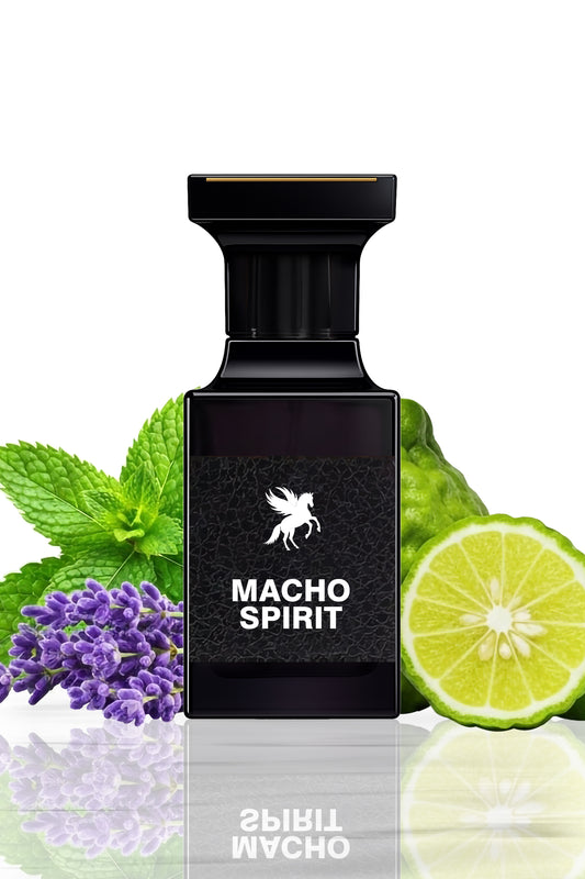 Macho Spirit - Impression of Le Male JPG