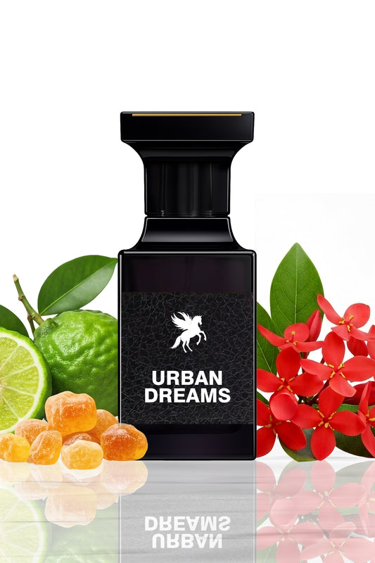 Urban Dreams - impression of Office for Men